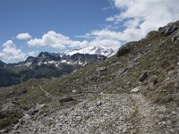 I, Belluno, Livinallongo del Col di Lana, Arabba, Bec de Roces 36, Saxifraga-Willem van Kruijsbergen