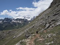 I, Belluno, Livinallongo del Col di Lana, Arabba, Bec de Roces 38, Saxifraga-Willem van Kruijsbergen