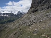 I, Belluno, Livinallongo del Col di Lana, Arabba, Bec de Roces 39, Saxifraga-Willem van Kruijsbergen
