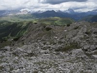 I, Belluno, Livinallongo del Col di Lana, Arabba, Bec de Roces 45, Saxifraga-Willem van Kruijsbergen