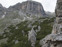 I, Belluno, Livinallongo del Col di Lana, Arabba, Bec de Roces 48, Saxifraga-Willem van Kruijsbergen