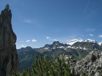 I, Belluno, Livinallongo del Col di Lana, Arabba, Bec de Roces 49, Saxifraga-Annemiek Bouwman