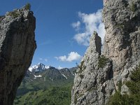 I, Belluno, Livinallongo del Col di Lana, Arabba, Bec de Roces 50, Saxifraga-Annemiek Bouwman