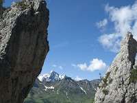I, Belluno, Livinallongo del Col di Lana, Arabba, Bec de Roces 51, Saxifraga-Annemiek Bouwman