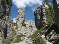 I, Belluno, Livinallongo del Col di Lana, Arabba, Bec de Roces 53, Saxifraga-Annemiek Bouwman
