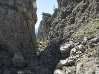 I, Belluno, Livinallongo del Col di Lana, Arabba, Bec de Roces 54, Saxifraga-Annemiek Bouwman