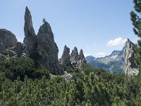 I, Belluno, Livinallongo del Col di Lana, Arabba, Bec de Roces 55, Saxifraga-Annemiek Bouwman