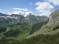I, Belluno, Livinallongo del Col di Lana, Arabba, Bec de Roces 56, Saxifraga-Annemiek Bouwman