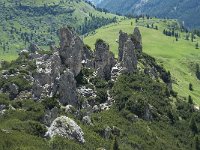 I, Belluno, Livinallongo del Col di Lana, Arabba, Bec de Roces 57, Saxifraga-Annemiek Bouwman