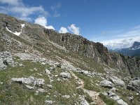 I, Belluno, Livinallongo del Col di Lana, Arabba, Bec de Roces 59, Saxifraga-Annemiek Bouwman