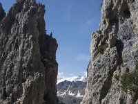 I, Belluno, Livinallongo del Col di Lana, Arabba, Bec de Roces 6, Saxifraga-Willem van Kruijsbergen