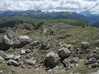 I, Belluno, Livinallongo del Col di Lana, Arabba, Bec de Roces 60, Saxifraga-Annemiek Bouwman