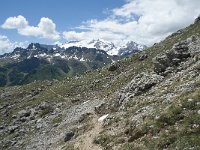 I, Belluno, Livinallongo del Col di Lana, Arabba, Bec de Roces 61, Saxifraga-Annemiek Bouwman