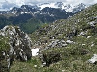 I, Belluno, Livinallongo del Col di Lana, Arabba, Bec de Roces 64, Saxifraga-Annemiek Bouwman