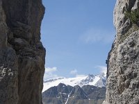 I, Belluno, Livinallongo del Col di Lana, Arabba, Bec de Roces 7, Saxifraga-Willem van Kruijsbergen