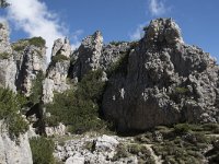 I, Belluno, Livinallongo del Col di Lana, Arabba, Bec de Roces 9, Saxifraga-Willem van Kruijsbergen