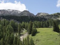 I, Belluno, Livinallongo del Col di Lana, Passo Campolongo 12, Saxifraga-Willem van Kruijsbergen