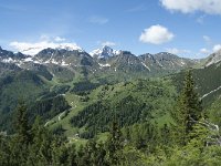 I, Belluno, Livinallongo del Col di Lana, Passo Campolongo 15, Saxifraga-Annemiek Bouwman