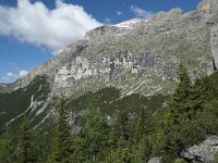 I, Belluno, Livinallongo del Col di Lana, Passo Campolongo 16, Saxifraga-Annemiek Bouwman