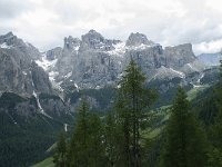 I, Belluno, Livinallongo del Col di Lana, Passo Campolongo 18, Saxifraga-Annemiek Bouwman