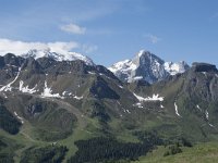 I, Belluno, Livinallongo del Col di Lana, Passo Campolongo 4, Saxifraga-Willem van Kruijsbergen