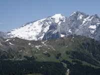 I, Sued Tirol, Canazei, Col di Rosc 1, Saxifraga-Willem van Kruijsbergen