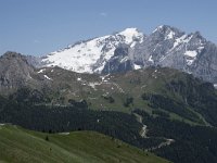 I, Sued Tirol, Canazei, Col di Rosc 2, Saxifraga-Willem van Kruijsbergen
