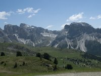 I, Sued Tirol, Sankt Ulrich, Seceda 24, Saxifraga-Annemiek Bouwman