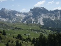 I, Sued Tirol, Sankt Ulrich, Seceda 26, Saxifraga-Annemiek Bouwman