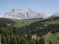 I, Sued-Tirol, Corvara, Col Alt 1, Saxifraga-Willem van Kruijsbergen