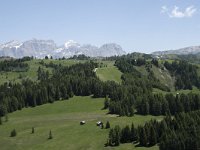 I, Sued-Tirol, Corvara, Col Alt 2, Saxifraga-Willem van Kruijsbergen