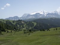 I, Sued-Tirol, Corvara, Col Alt 26, Saxifraga-Willem van Kruijsbergen