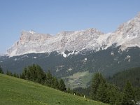 I, Sued-Tirol, Corvara, Col Alt 29, Saxifraga-Willem van Kruijsbergen