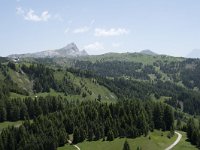 I, Sued-Tirol, Corvara, Col Alt 3, Saxifraga-Willem van Kruijsbergen