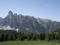 I, Sued-Tirol, Corvara, Col Alt 33, Saxifraga-Willem van Kruijsbergen