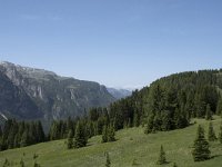 I, Sued-Tirol, Corvara, Col Alt 34, Saxifraga-Willem van Kruijsbergen