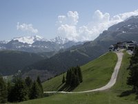 I, Sued-Tirol, Corvara, Col Alt 36, Saxifraga-Willem van Kruijsbergen