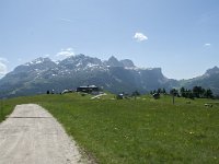 I, Sued-Tirol, Corvara, Col Alt 46, Saxifraga-Annemiek Bouwman
