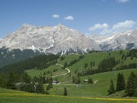 I, Sued-Tirol, Corvara, Col Alt 51, Saxifraga-Annemiek Bouwman