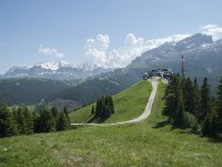I, Sued-Tirol, Corvara, Col Alt 53, Saxifraga-Annemiek Bouwman