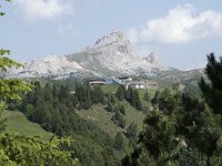 I, Sued-Tirol, Corvara, Col Alt, Piz Dles Conturines 2, Saxifraga-Willem van Kruijsbergen