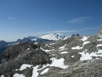 I, Sued-Tirol, Corvara, Franz Kostner Huette 9, Saxifraga-Annemiek Bouwman