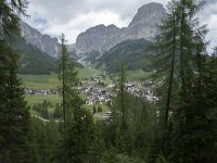 I, Sued-Tirol, Corvara, Kolfuschg 1, Saxifraga-Willem van Kruijsbergen