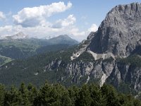 I, Sued-Tirol, Corvara, Kolfuschg, Ciamplo 11, Saxifraga-Willem van Kruijsbergen