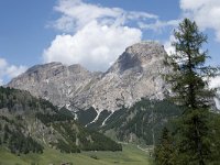 I, Sued-Tirol, Corvara, Kolfuschg, Sassongher 1, Saxifraga-Willem van Kruijsbergen