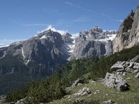 I, Sued-Tirol, Corvara, Kolfuschg, Sellagruppe 21, Saxifraga-Willem van Kruijsbergen
