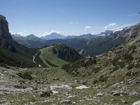 I, Sued-Tirol, Corvara, Kolfuschg, Utia Col Pradat 2, Saxifraga-Willem van Kruijsbergen