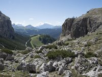 I, Sued-Tirol, Corvara, Kolfuschg, Utia Col Pradat 4, Saxifraga-Willem van Kruijsbergen