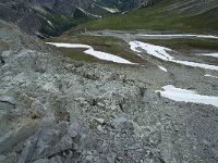 I, Sued-Tirol, Corvara, Naturpark Puez-Geisler 103, Saxifraga-Annemiek Bouwman