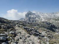 I, Sued-Tirol, Corvara, Naturpark Puez-Geisler 106, Saxifraga-Annemiek Bouwman
